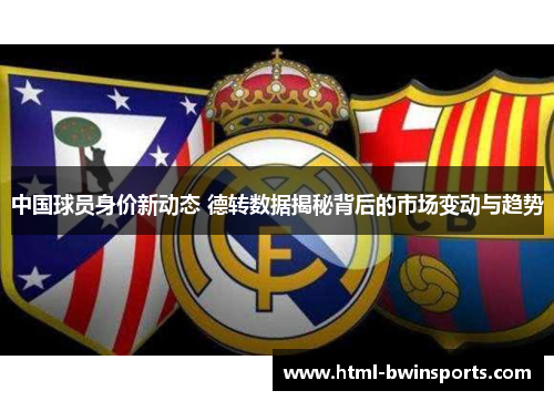 中国球员身价新动态 德转数据揭秘背后的市场变动与趋势