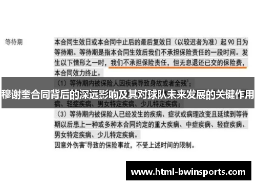 穆谢奎合同背后的深远影响及其对球队未来发展的关键作用