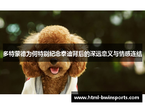多特蒙德为何特别纪念泰迪背后的深远意义与情感连结