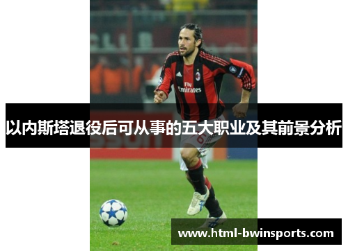 以内斯塔退役后可从事的五大职业及其前景分析