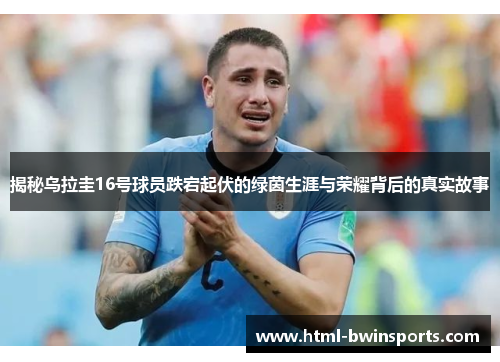 揭秘乌拉圭16号球员跌宕起伏的绿茵生涯与荣耀背后的真实故事