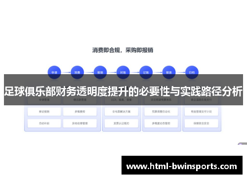 足球俱乐部财务透明度提升的必要性与实践路径分析 足球俱乐部财务透明度提升的必要性与实践路径分析